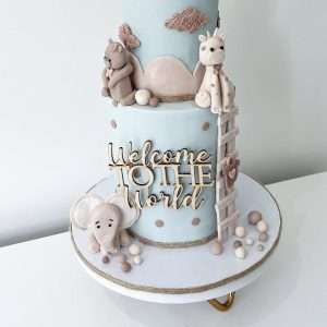 Acrylic Welcome To The World Cake Topper/Charm | Multiple Colour Options